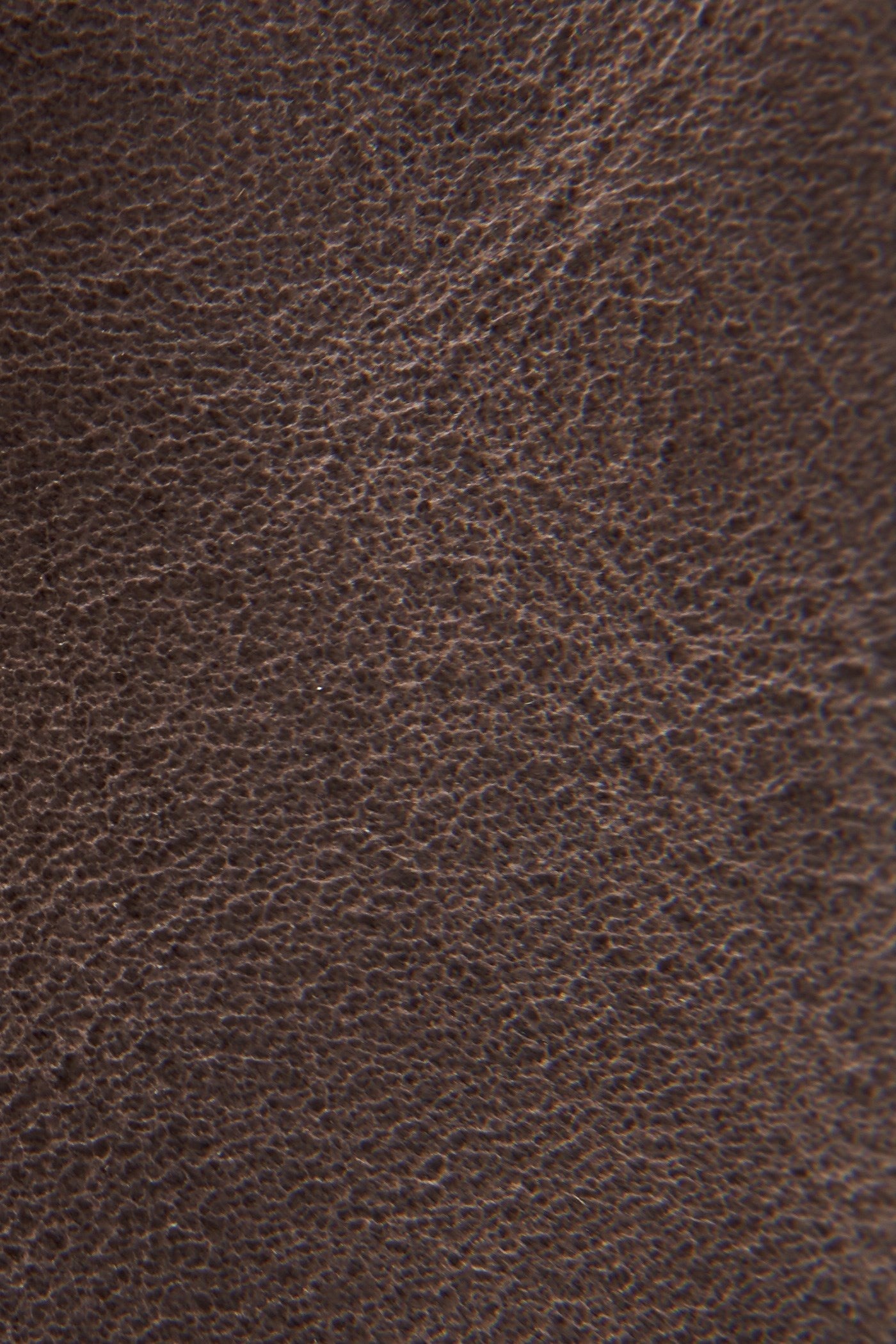 Carson Piping Tall - Frye Found - Image 6