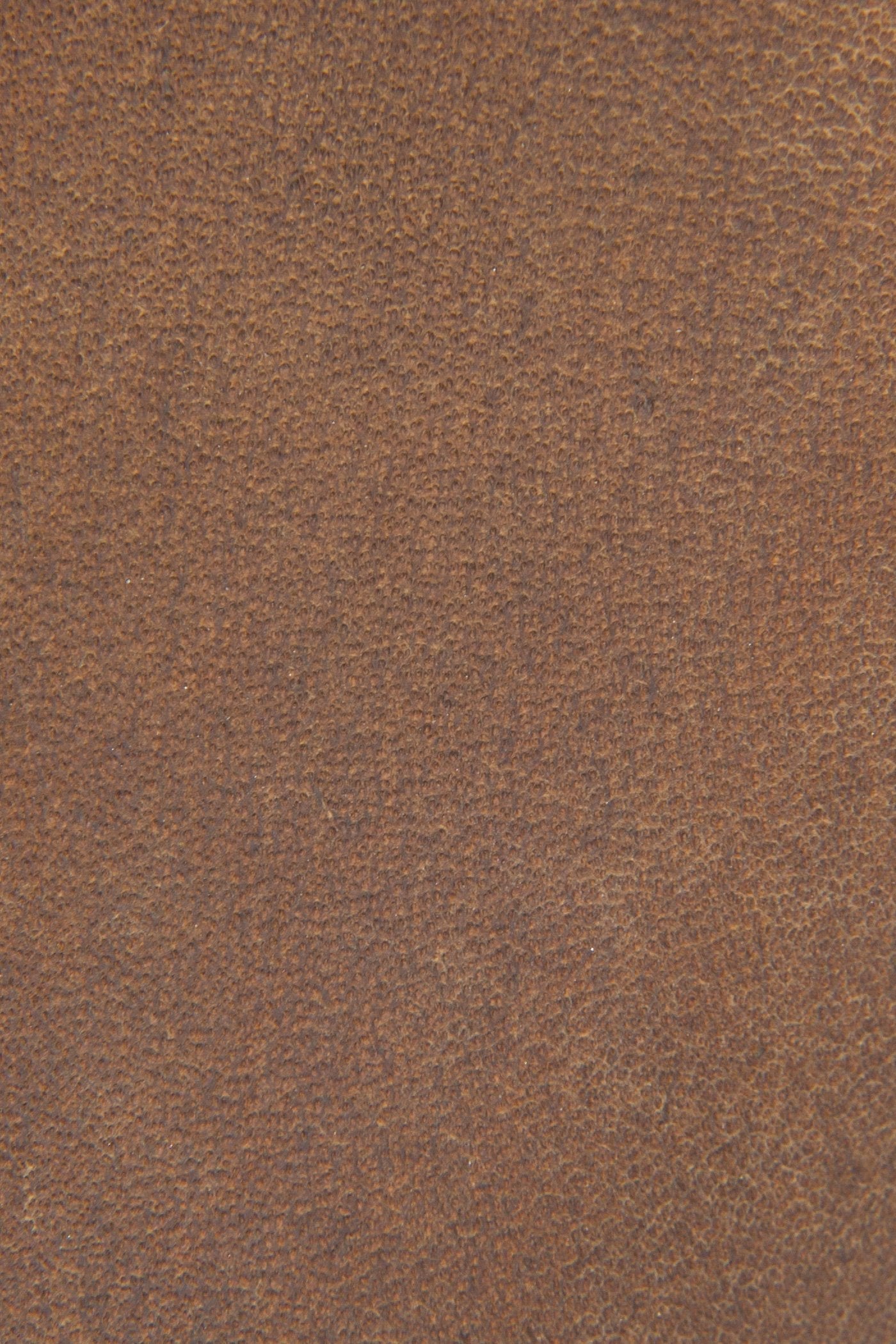 Carson Piping Tall Wide Calf - Frye Found - Image 6