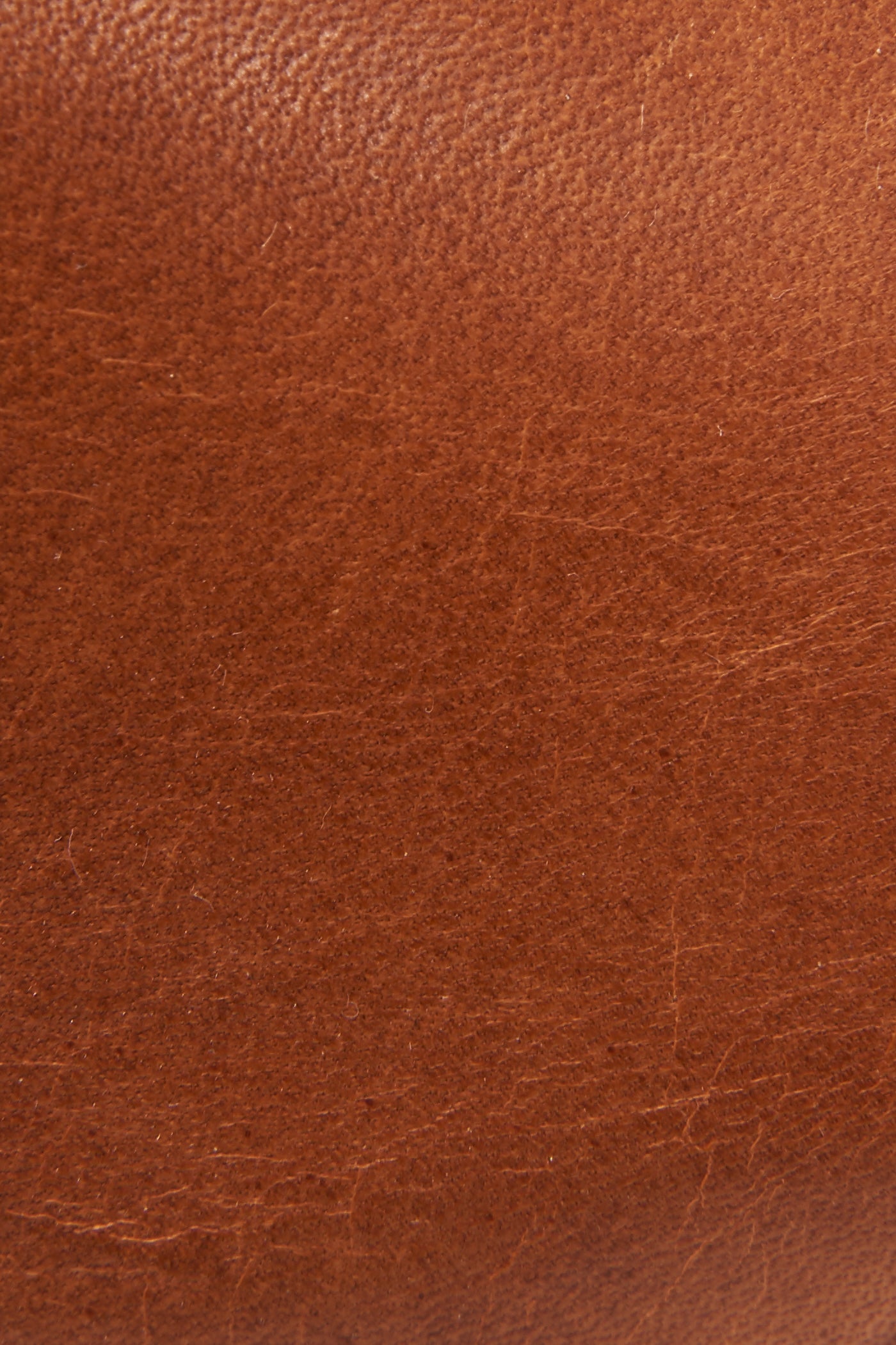Ray Harness Back Zip - Frye Found - Image 6