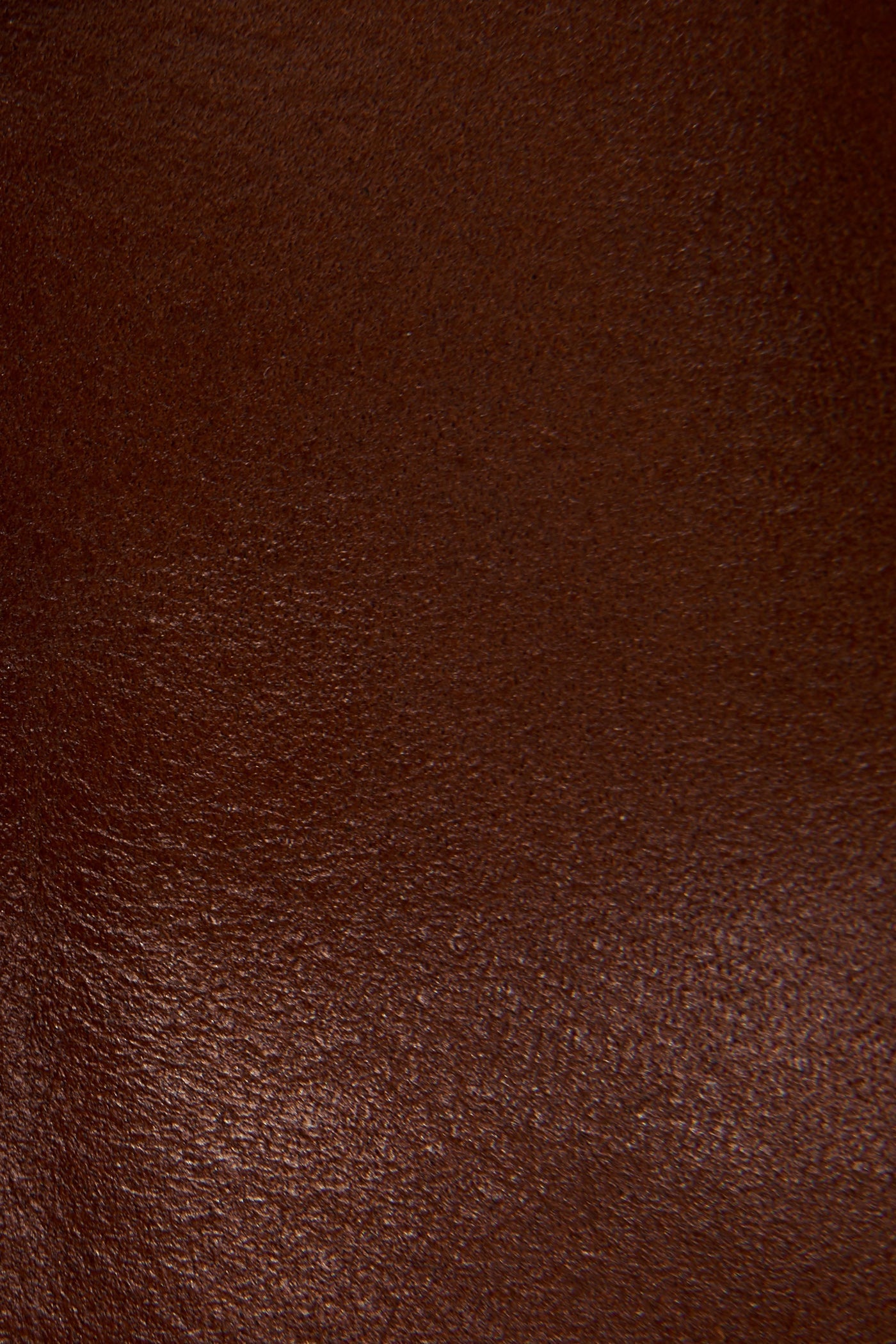 Melissa Seam Short - Pre-Loved - Image 5