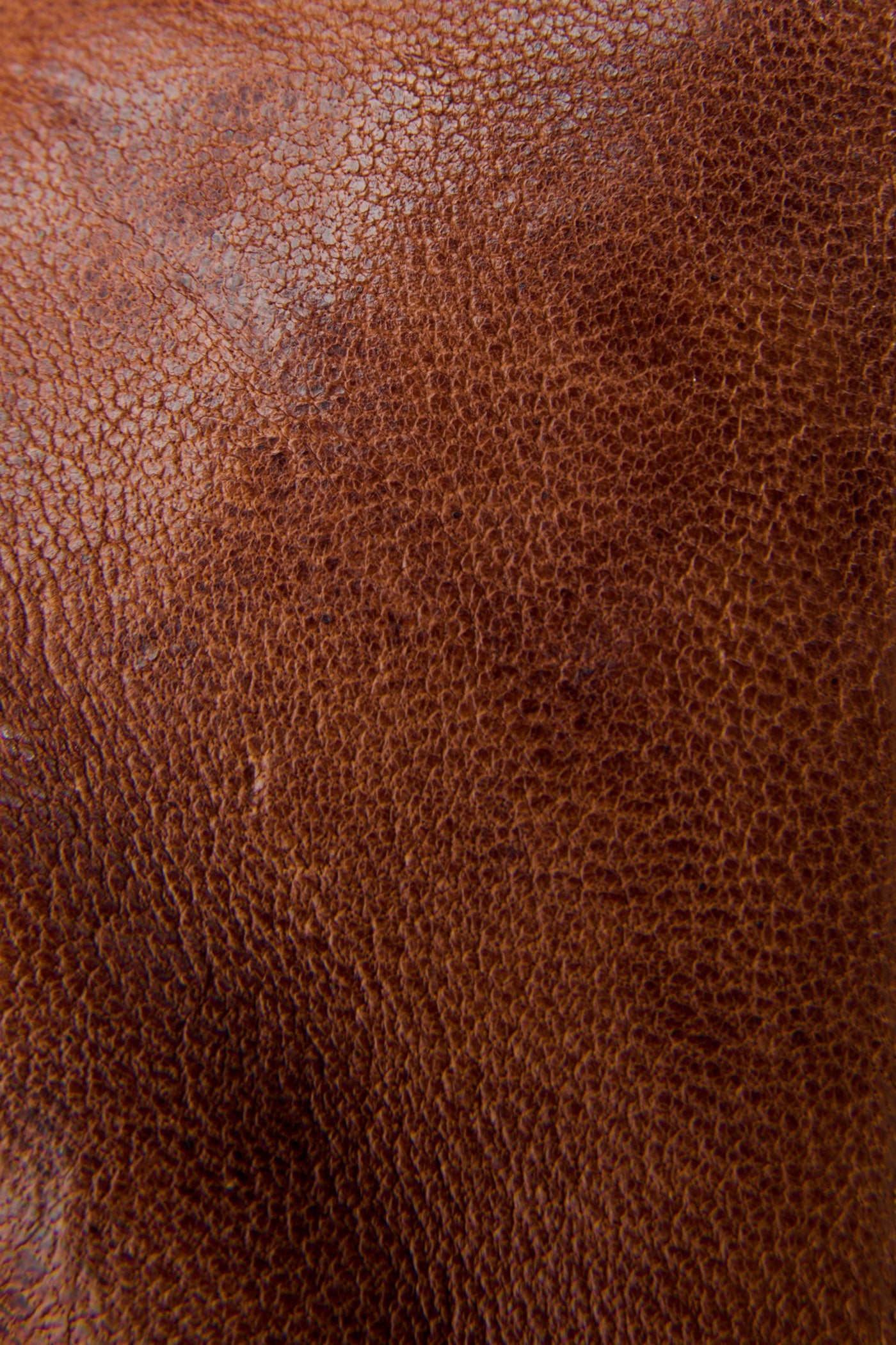 Ivy Low Lace - Pre-Loved - Image 5