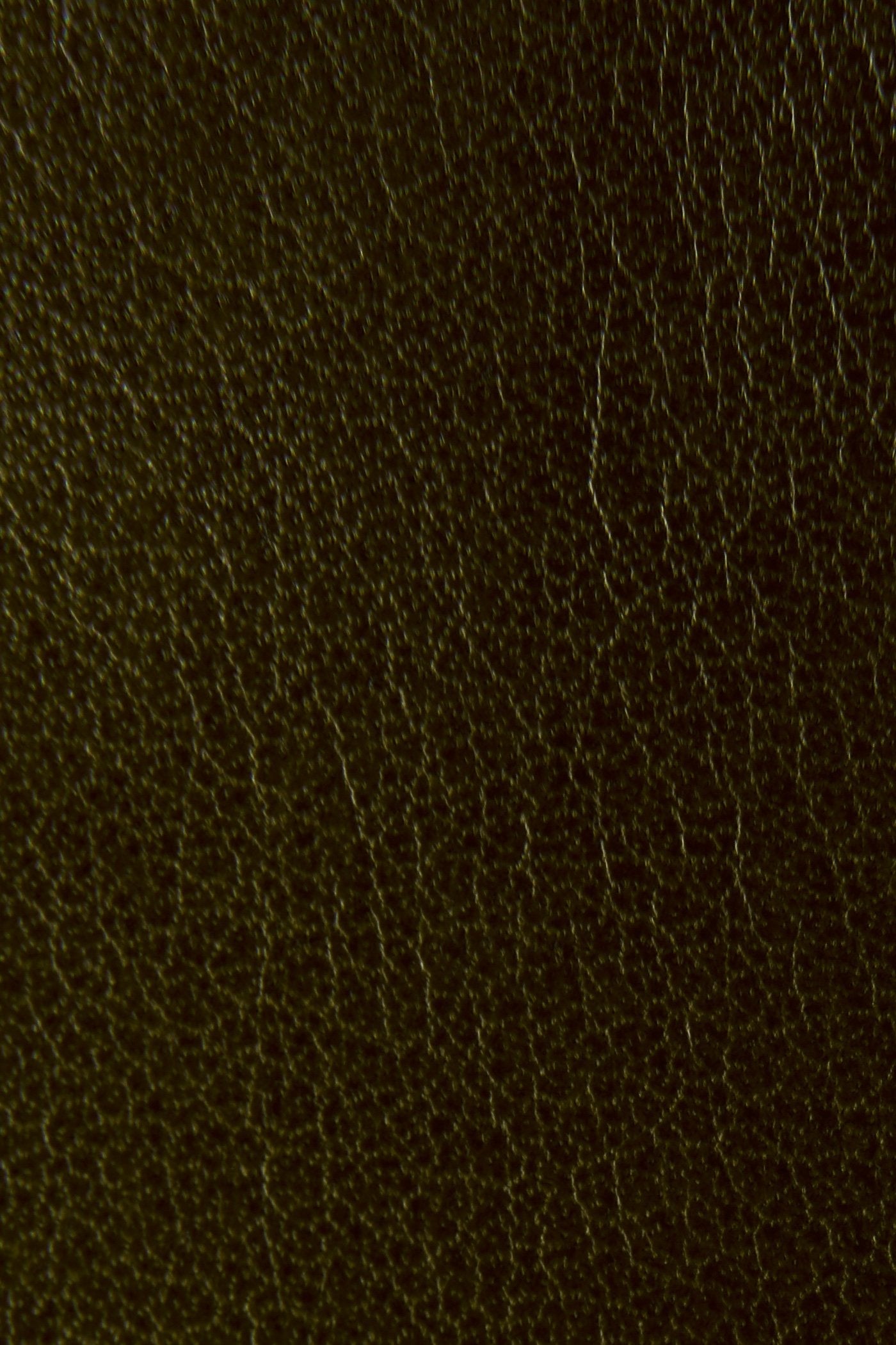 Melissa Chelsea - Pre-Loved - Image 5