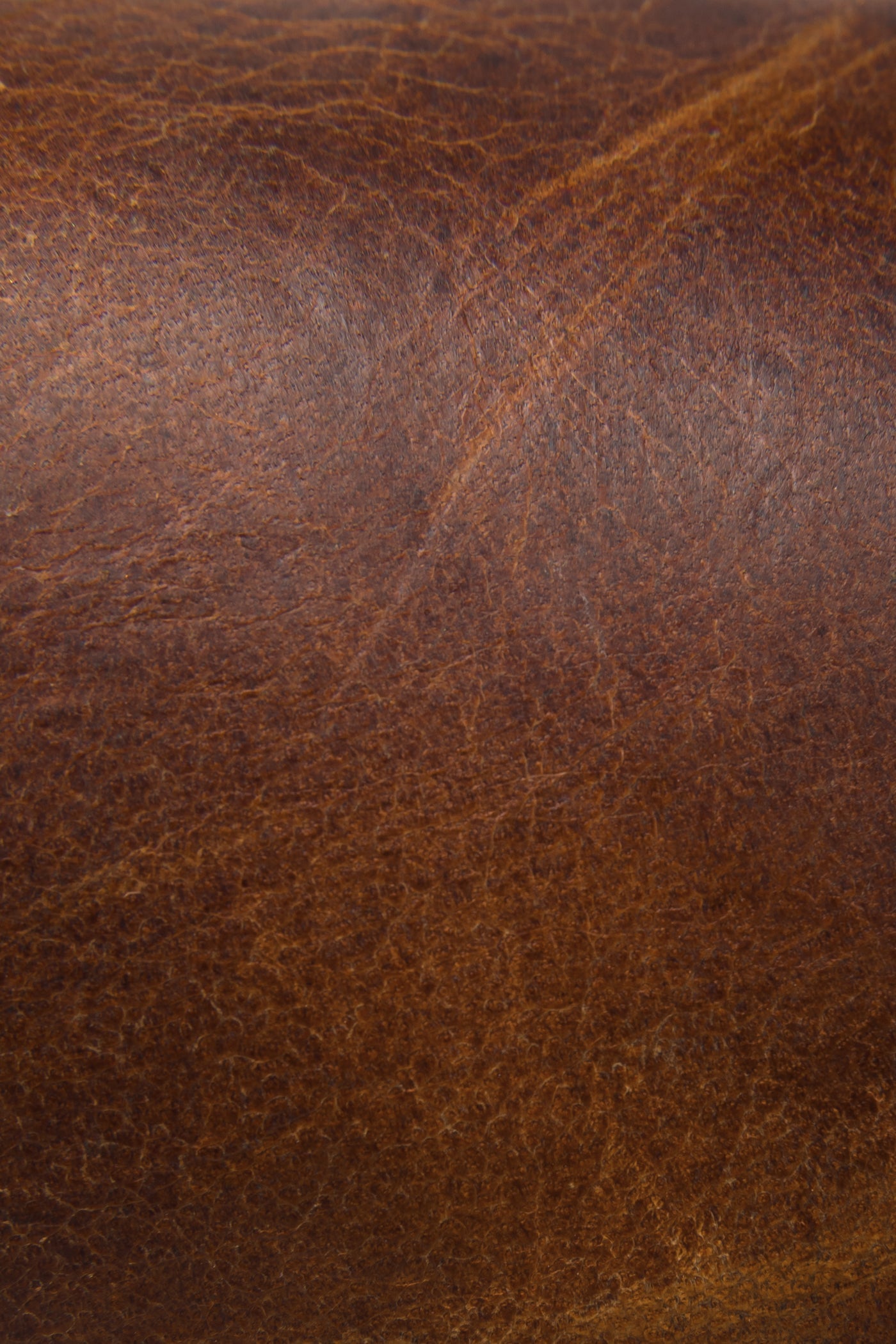 Wyatt Harness - Pre-Loved - Image 4