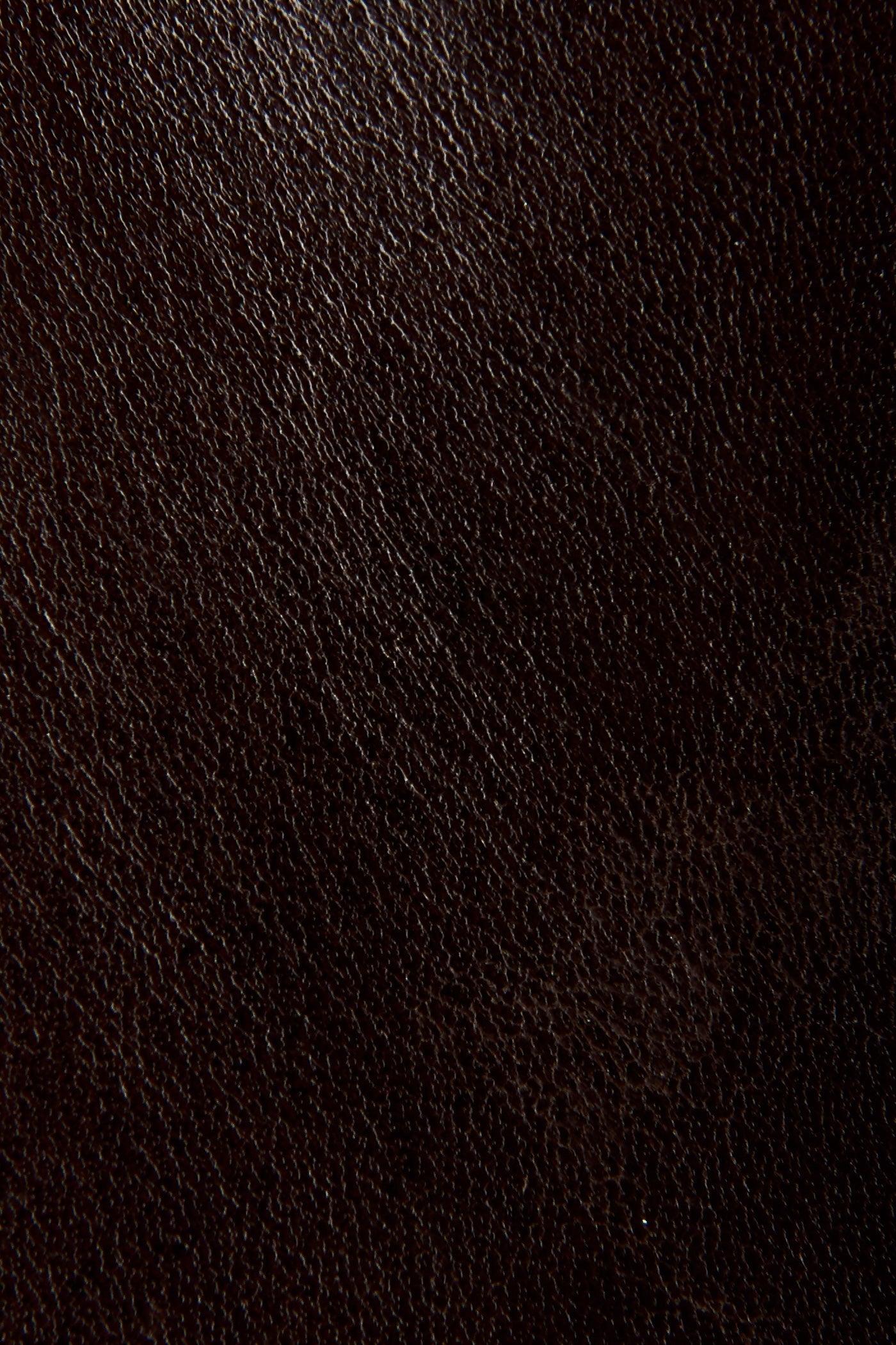 Jasper Jodhpur - Frye Found - Image 6