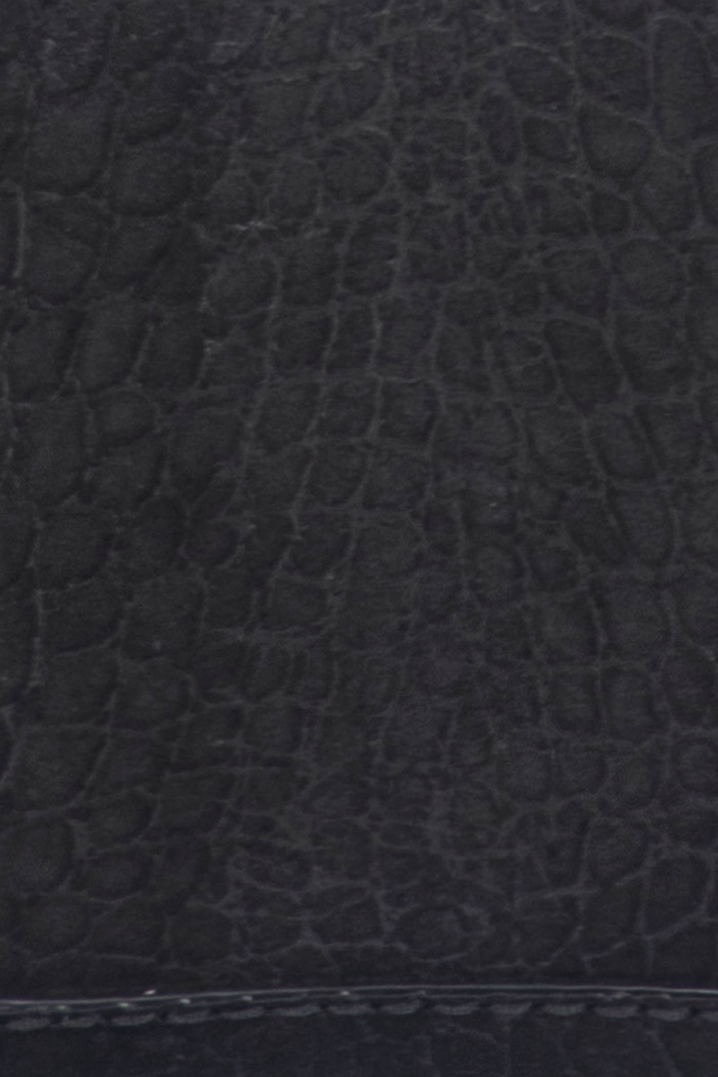 Melissa Sueded Croco Camera - Image 9