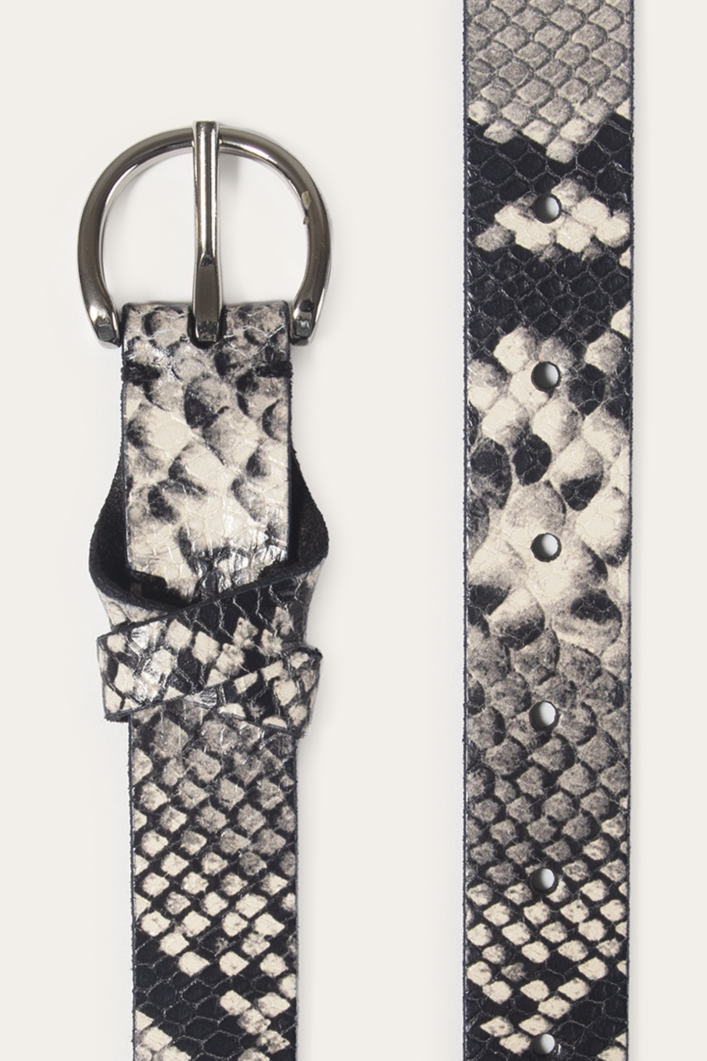 25mm Snake Belt - Image 3