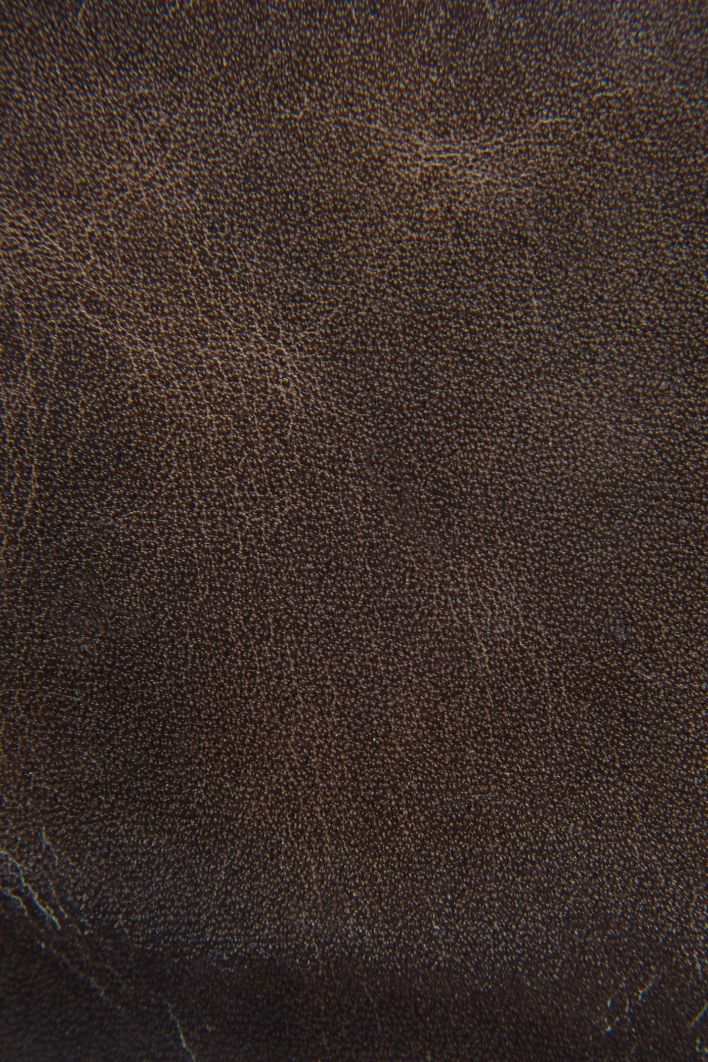 Logan Billfold - Image 3